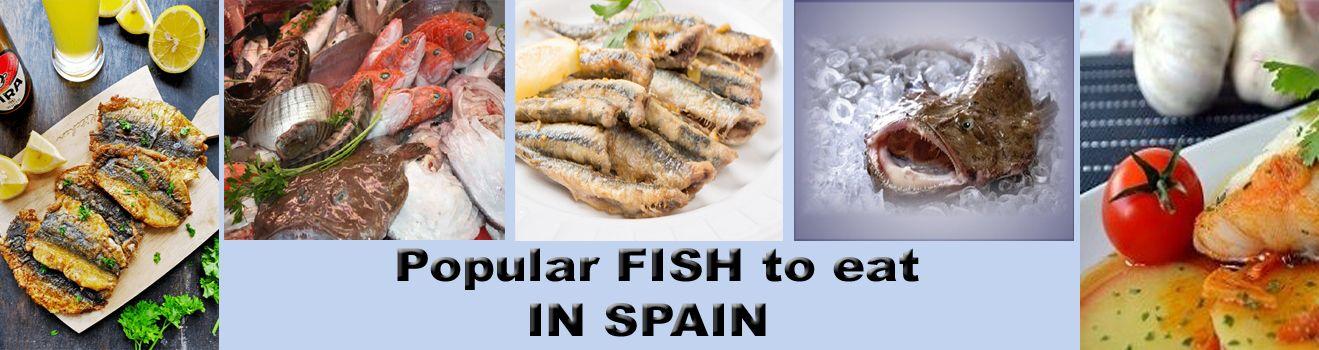 Popular fish to eat in Spain