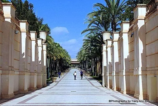 Beautiful parks to visit  L´Aiguera Park Benidorm