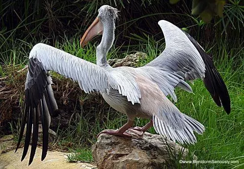 Terra Natura Benidorm