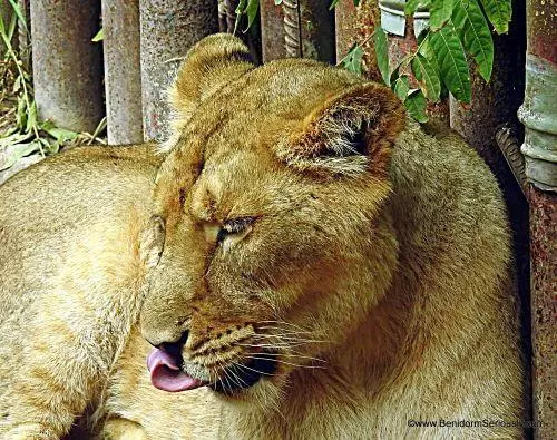 Terra Natura Benidorm