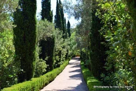 Gardens to visit Jardín de l'Albarda