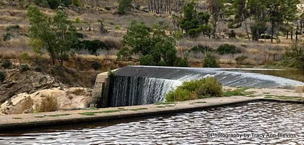 El Pantano Elche