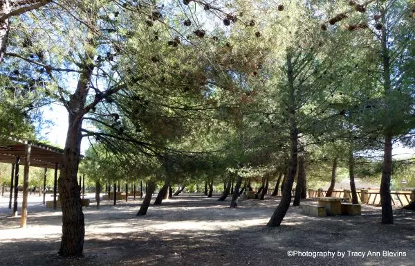 Laberinto Casa Tapena Onil 