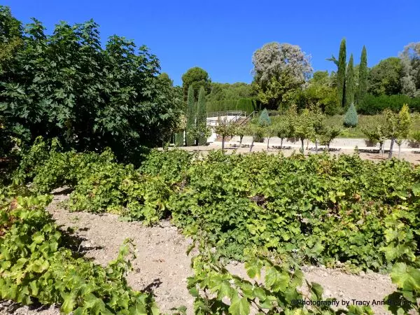 Laberinto Casa Tapena Onil