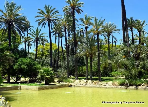 Alicante Park El Palmeral 