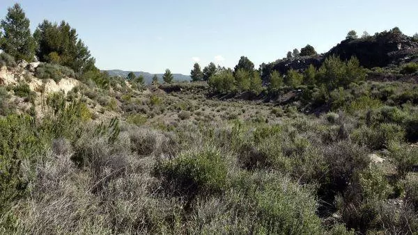 Volcano in the Valencia region