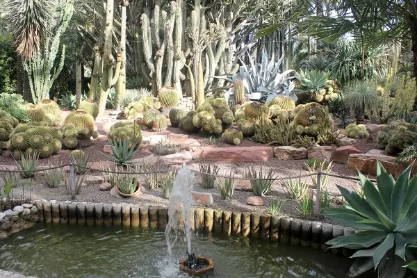 Gardens to visit - Costa Blanca