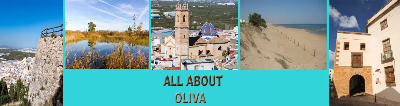 All about Oliva