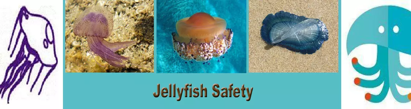 Jellyfish Safety