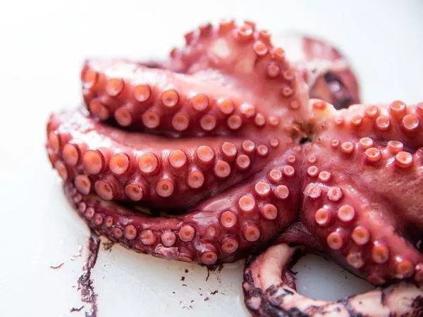 How to cook an Octopus