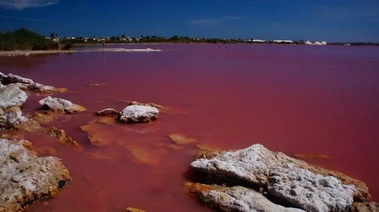 Torrevieja salt lakes