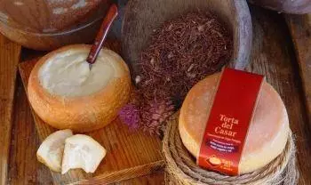 Types of Spanish Cheese, Torta del Casar